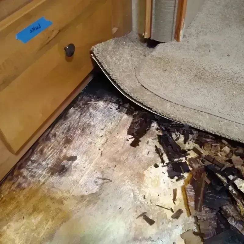 Best Wood Floor Water Damage Service in Sheridan County, ND